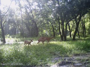 0 Bessemer Rd, Brooksville, FL 34602