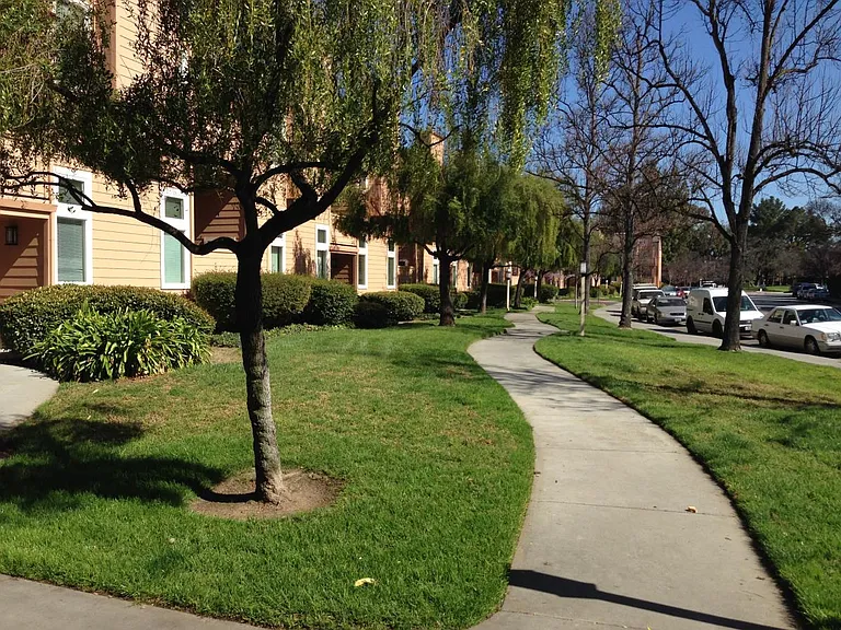 5398 Borneo Cir — Photo 7