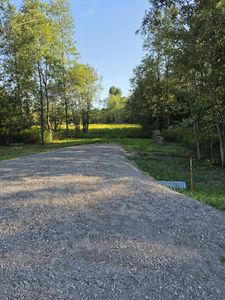 4668 E Yuill Rd, Harrisville, MI, 48740