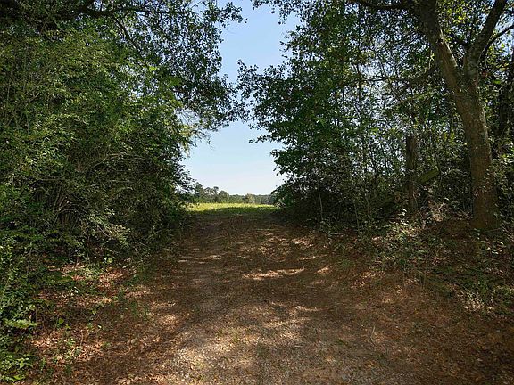 3rd image of County Road 571 #0