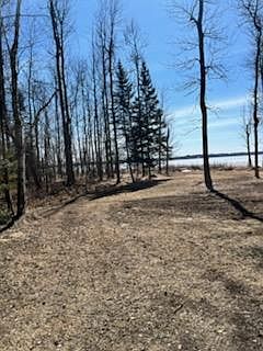 1st image of 42585 N Little Turtle Rd