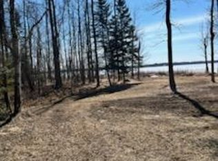 42585 N Little Turtle Rd, Bigfork, MN 56628