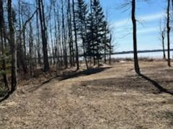 42585 N Little Turtle Rd, Bigfork, MN 56628