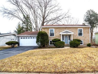 719 Webster St, Algonquin, IL, 60102