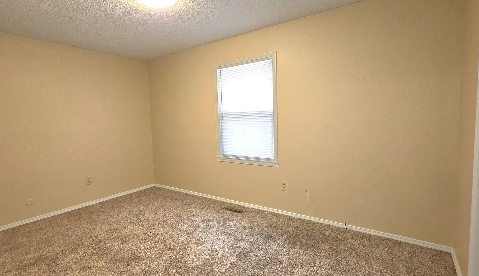 2 Bedroom 2 Bathroom Home $995! — Photo 4