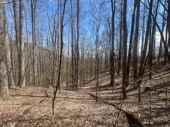 200 Wolverine Ct, Waynesville, NC 28785