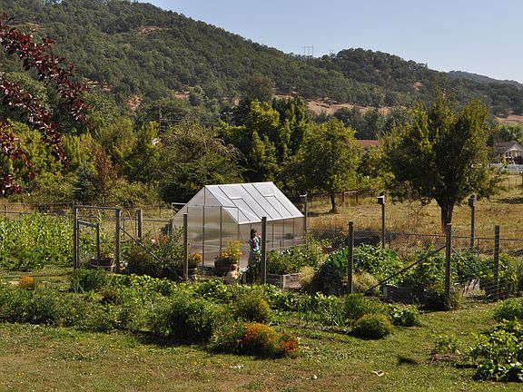Fenced garden and greenhouse