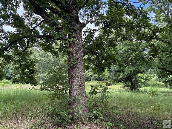 2nd image of Smith Rd
