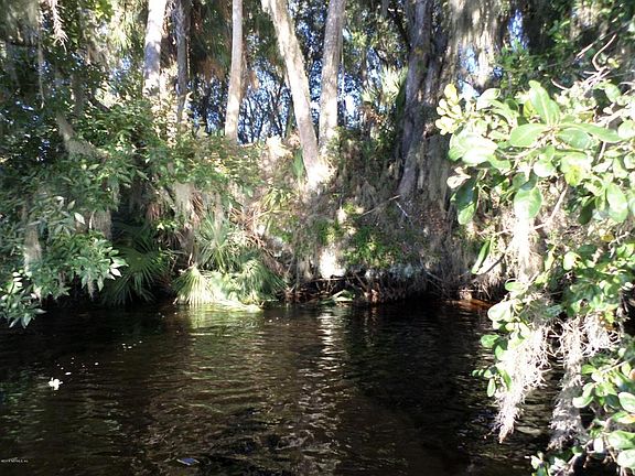 4th image of 146 Acosta Creek Dr