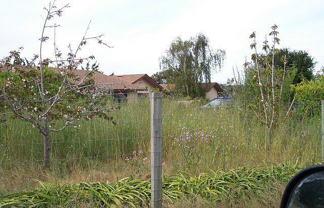 2nd image of 16133 Meridian Rd