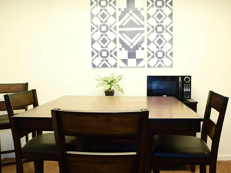 1br furnished
