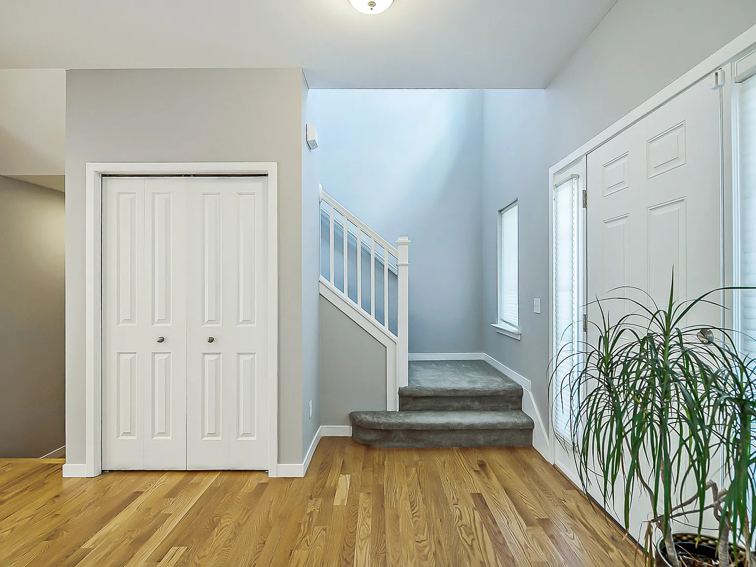 5 bed, 3.5 bath, 3310 sqft, $3,950 — Photo 4
