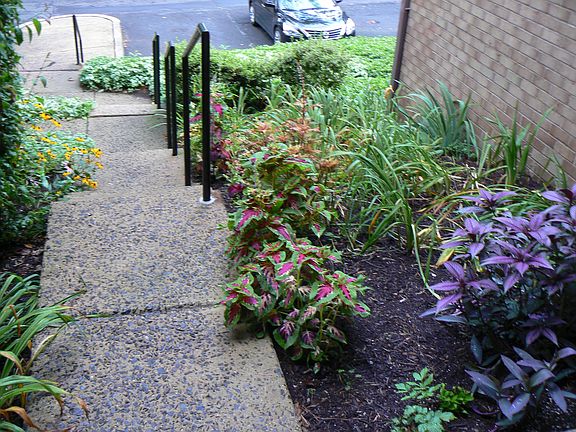 View from Front Door to Parking Area