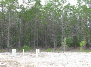 5 Leap Year Ln, Freeport, FL 32439