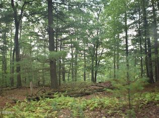 839 Indian Camp Run Rd, Renovo, PA 17764