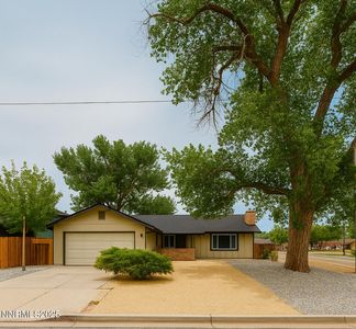 110 N Taylor St, Fallon, NV, 89406