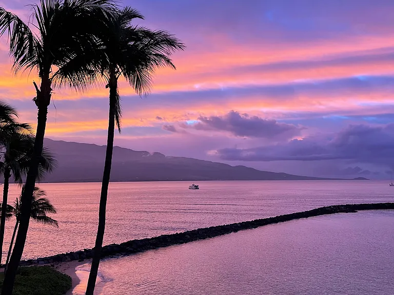 Purple sunrise bright with potential!