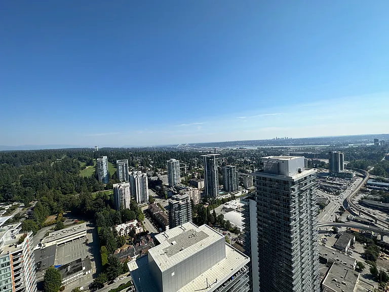 3809 Evergreen Pl #4503 — Photo 42