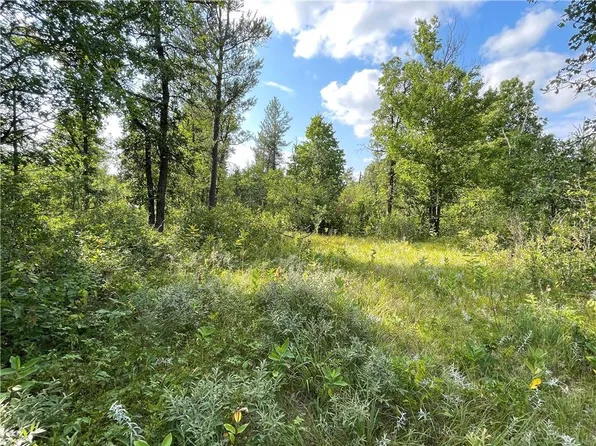 xx 285th, Sterling, WI 54024