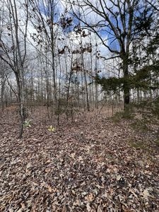 0 Cheyenne Cir Lot 15, Beechgrove, TN, 37018