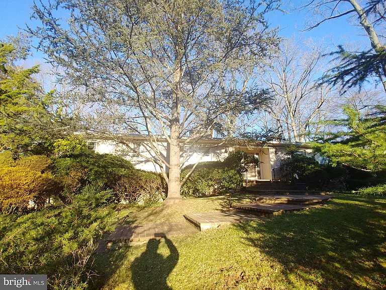 1429 Laburnum St — Photo 1