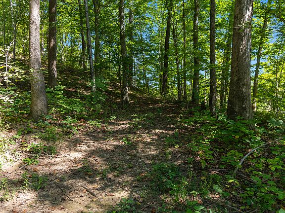 3rd image of 0 Pumpkinvine Hill Rd