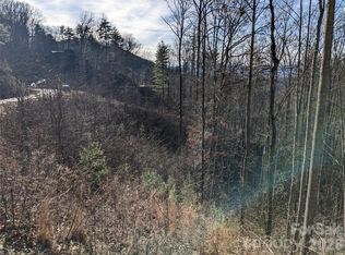 27 Bent Branch Ln #10, Asheville, NC 28804