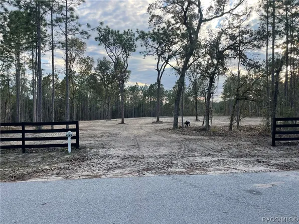 2395 NW 81st Ave, Wildwood, FL 34785