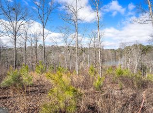 163 Lecroy Dr, Ellijay, GA 30540