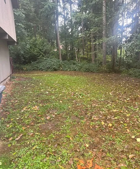 Side yard