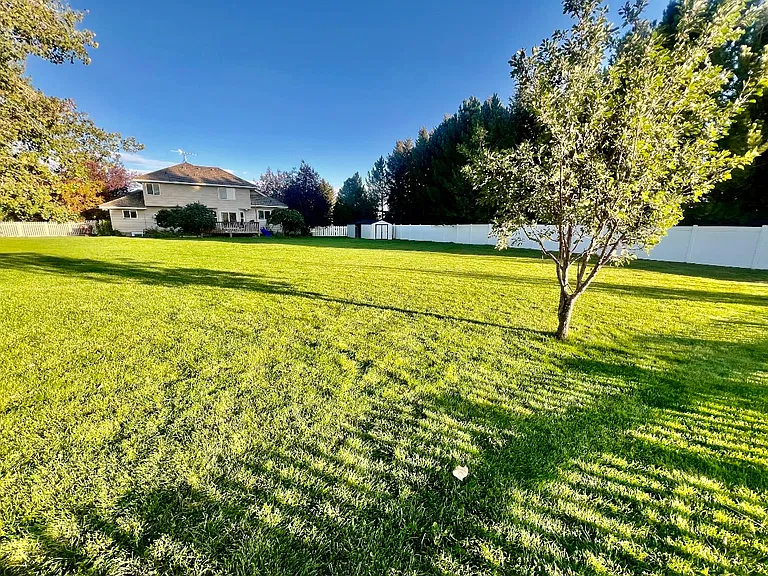 Large open backyard