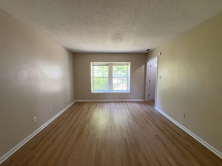 127 Silver Leaf Dr — Photo 5