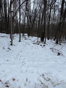 12090 Regina Dr, Stanwood, MI, 49346