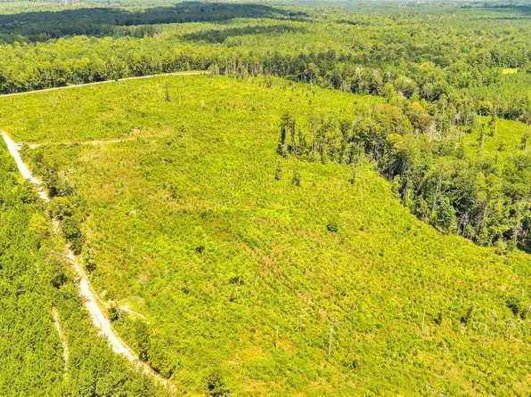 0 Halso Mill Rd, Greenville, AL 36037
