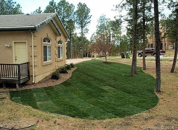 New sod now installed. There is a sprinkler system and drip line