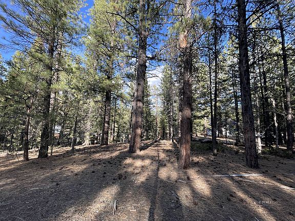 5th image of 90 W Mammoth View Dr