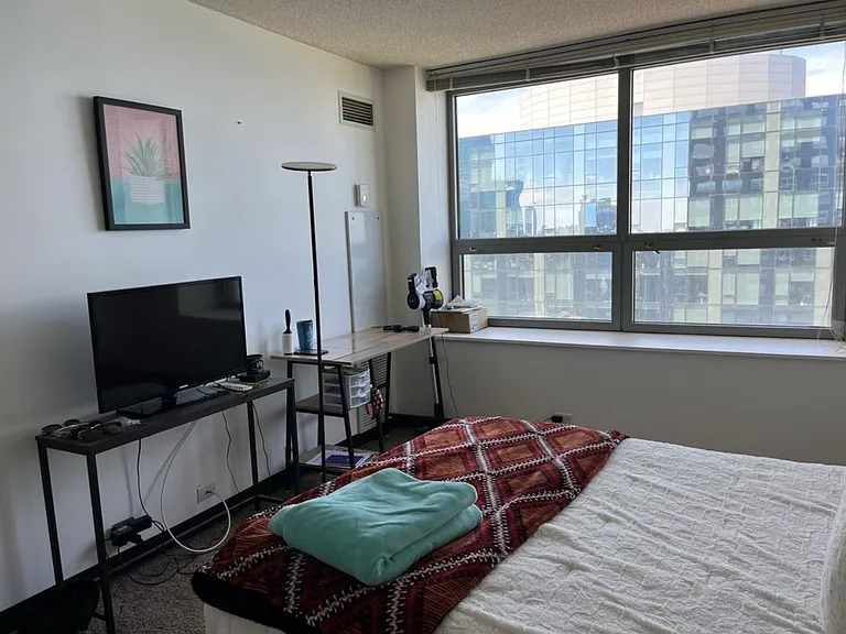 474 N Lake Shore Dr #5103 — Photo 9