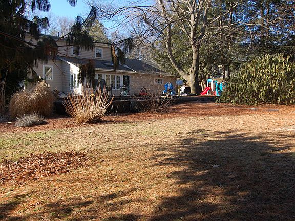 Back yard