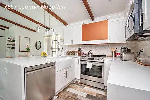 6557 Country Wood Way Pool — Photo 3