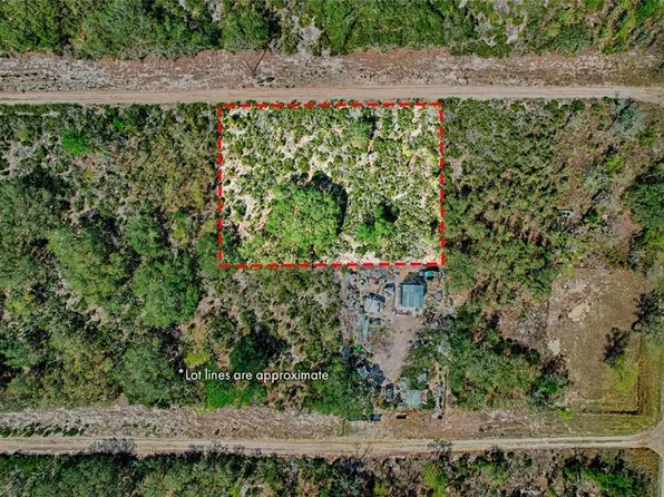 000 NE 68TH PLACE LOT 13, WILLISTON, FL 32696