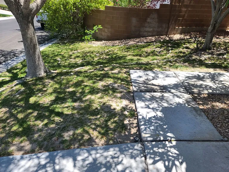 10221 Abano Ct — Photo 4