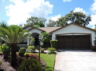 7368 Clearmeadow Dr, Spring Hill, FL 34606