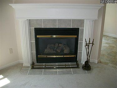 4th image of 7441 Willow Woods Dr #36B