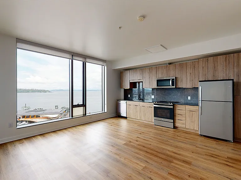 Apartment kitchen with stainless steel appliances, dining and living room with floor-to-ceiling windows.