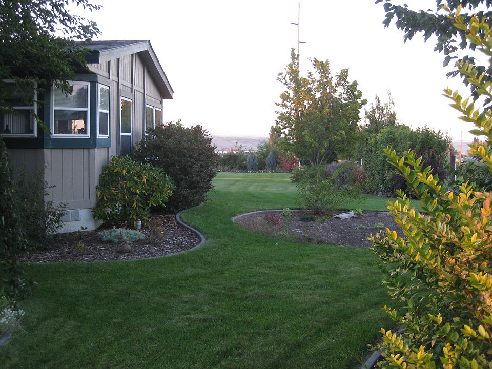 Yard & house from driveway