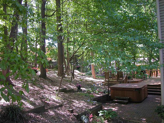 back yard
