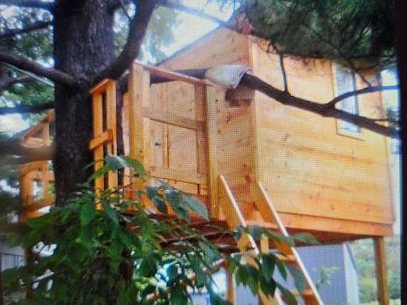 3rd image of 539 Brisbin St