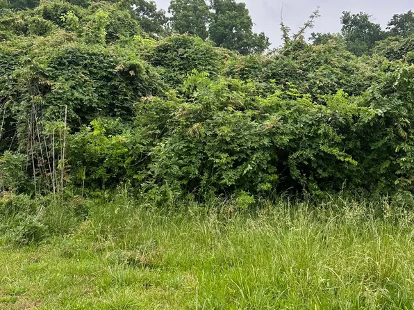 635 Purdy Rd, Selmer, TN 38375