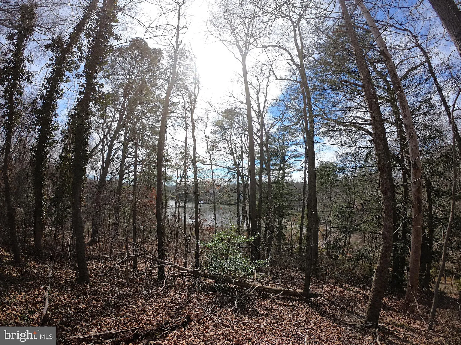 575 Riverview Rd photo 1