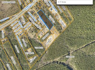 0 Irving Manigault Rd, Mc Clellanville, SC 29458